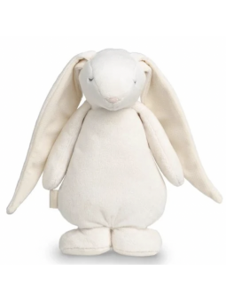 Peluche veilleuse musicale...