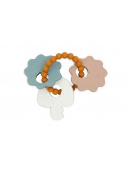 Anneau de dentition porte...