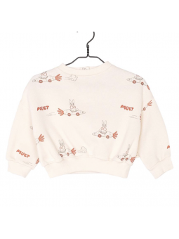 Pull voiture lapin Soan