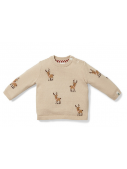 Pull de Noel Rennes