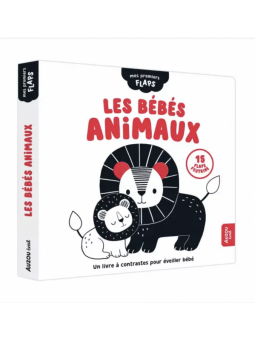 Mes premiers flaps - Les...