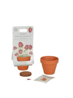 Kit de plantation - Fraise