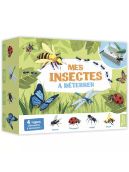 Mes insectes à déterrer