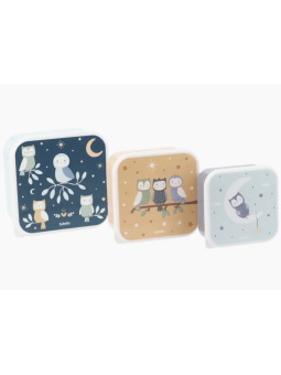Lot de 3 boîtes à déjeuner...