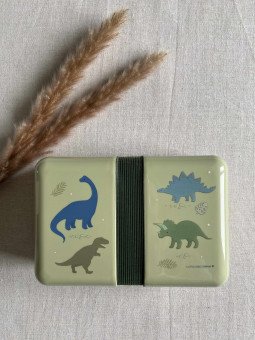 Boite à déjeuner dinosaures...