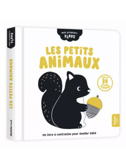 Mes premiers flaps - Les...