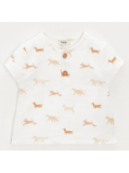 Chemise manches courtes...